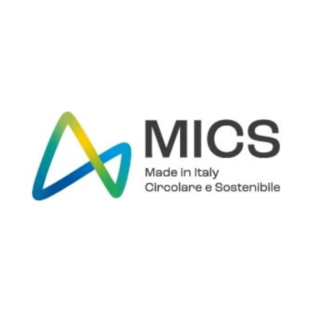 Fondazione MICS