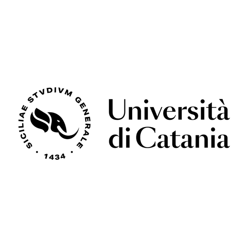 Catania | Sensori e Sistemi Multi-Sensoriali Embedded