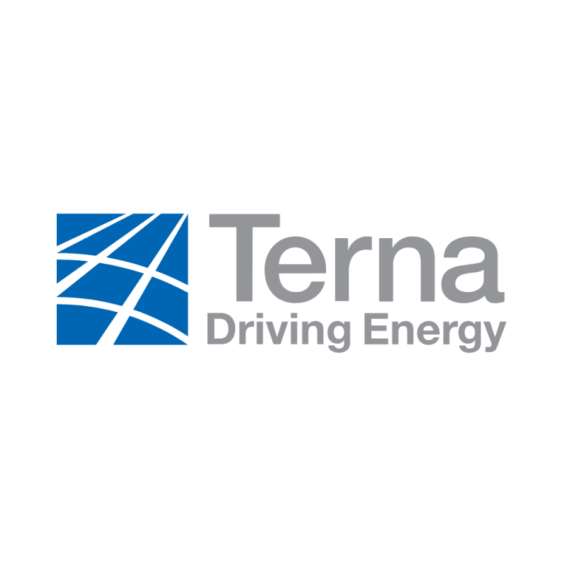 Terna